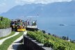 Lavaux_Express_A