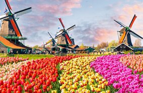 Keukenhof | © Olena_Z