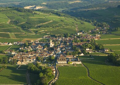 Suedburgund_Rad_Pommard | © Aurelien Ibanez