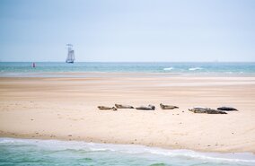 am_Strand | © Jeroen Berends