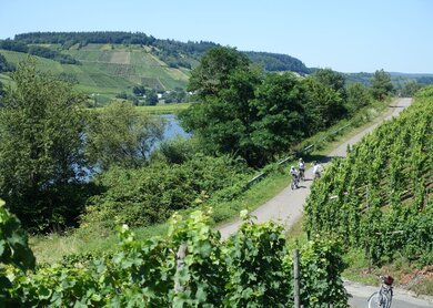 Radtour_DE_MOS_X74_1730711900.jpg