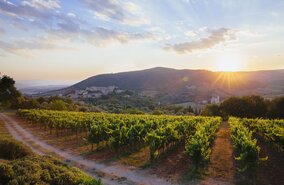 Toskana, Weingut | © GettyImages/Hello Lovely
