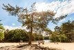Holland_DrunenseDuinen_A