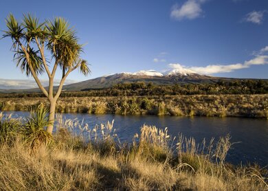 Neuseeland Rotoaira-See im Tongariro Nationalpark