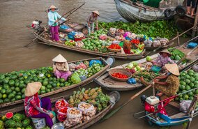 Mekongdelta | © Gettyimages.com/hadynyah