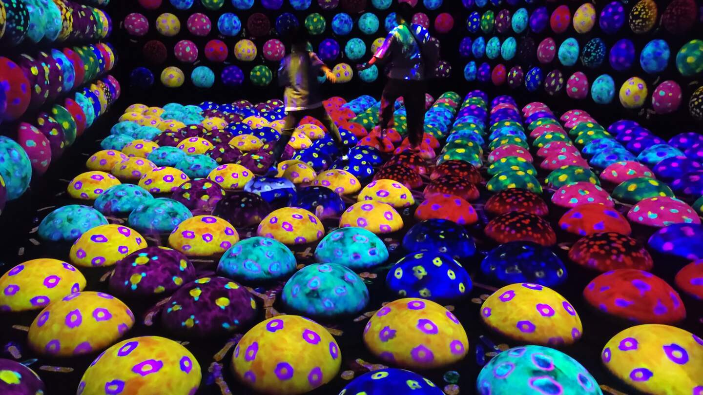 Ein Raum mit farbigen Bällen, über die man steigen muss, im neuen digitalen Kunstmuseum teamLabs Biovortex in Kyoto, Japan. | © Jens Hinsche