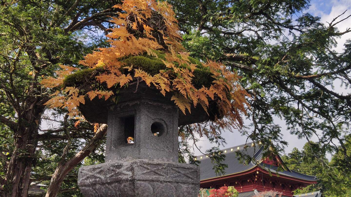 Historische Steinlaterne mit Herbstlaub in einer Tempelanlage der Satdt Nikko, Japan | © Jens Hinsche