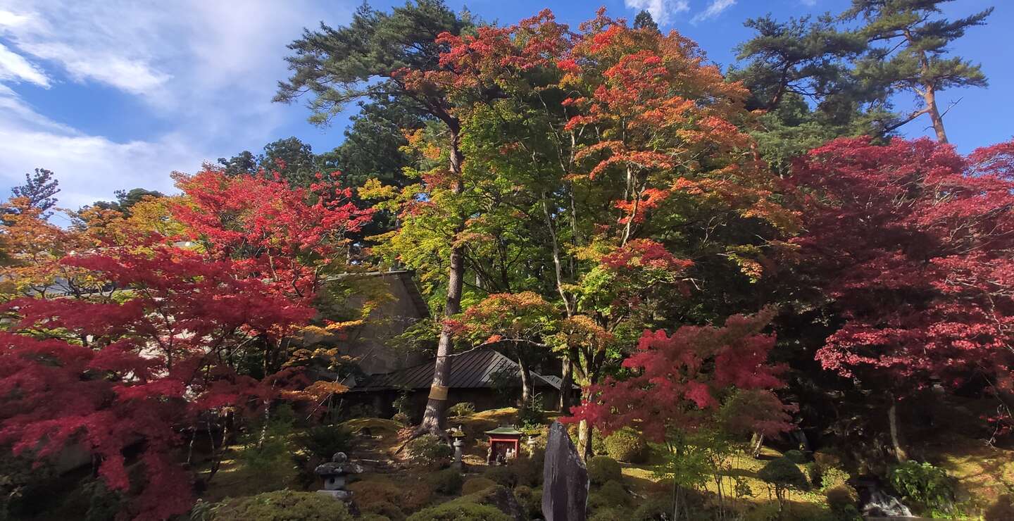 Eine Insel im leuchtenden Herbstlaub in einem kleinen, künstlich angelegten See, auf die eine typische japanischen Brücke führt in Nikko, Japan | © Jens Hinsche