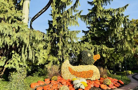 Dekoration zu Hallowinter im Europa-Park Erlebnis-Resort | © Michelle Khan