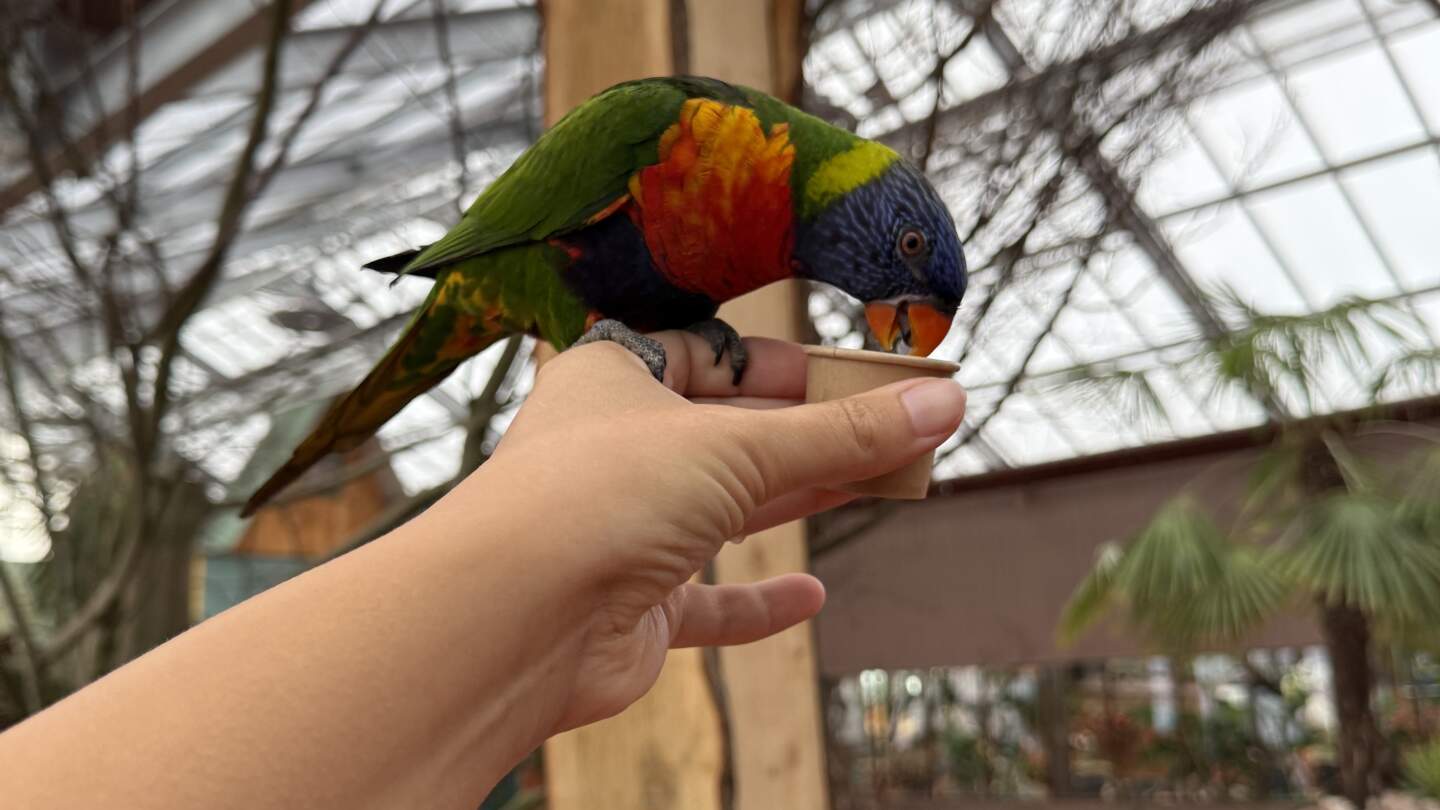 Ein Vogel aus dem Indoor-Tropenpark Pantropica | © Michelle Khan