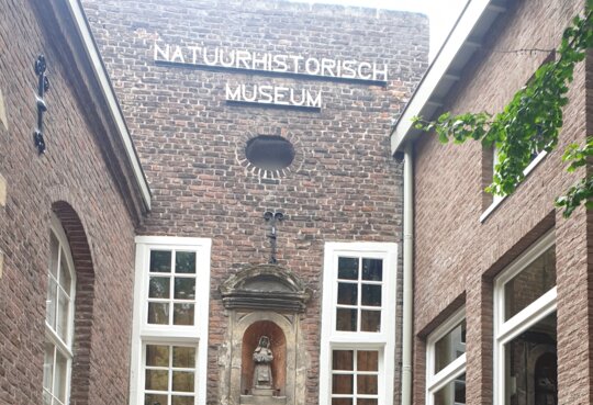 Maastricht Naturhistorisches Museum | © Dirk Hendriks