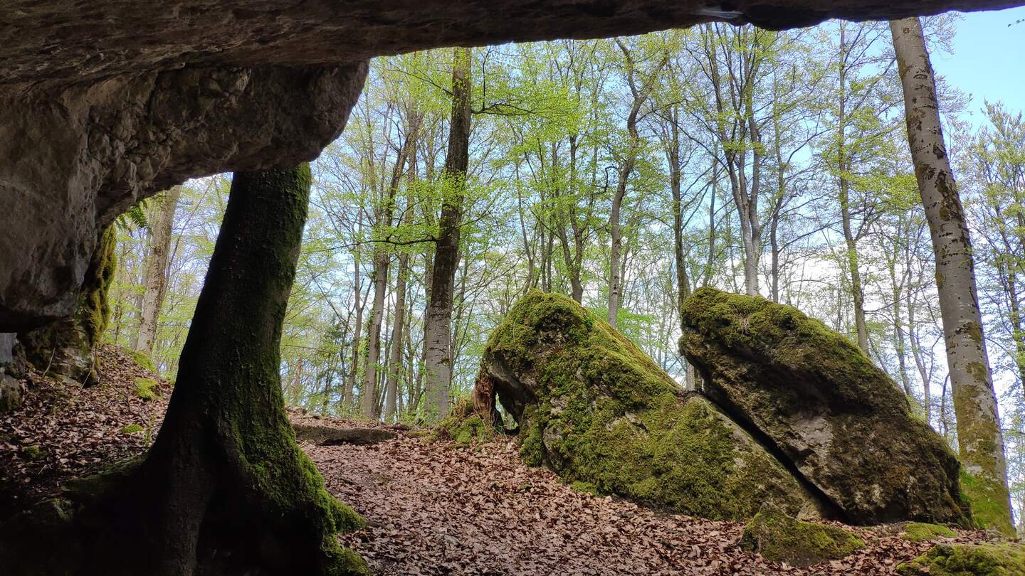 Karstkundlicher Wanderweg | © © Jens Hinsche