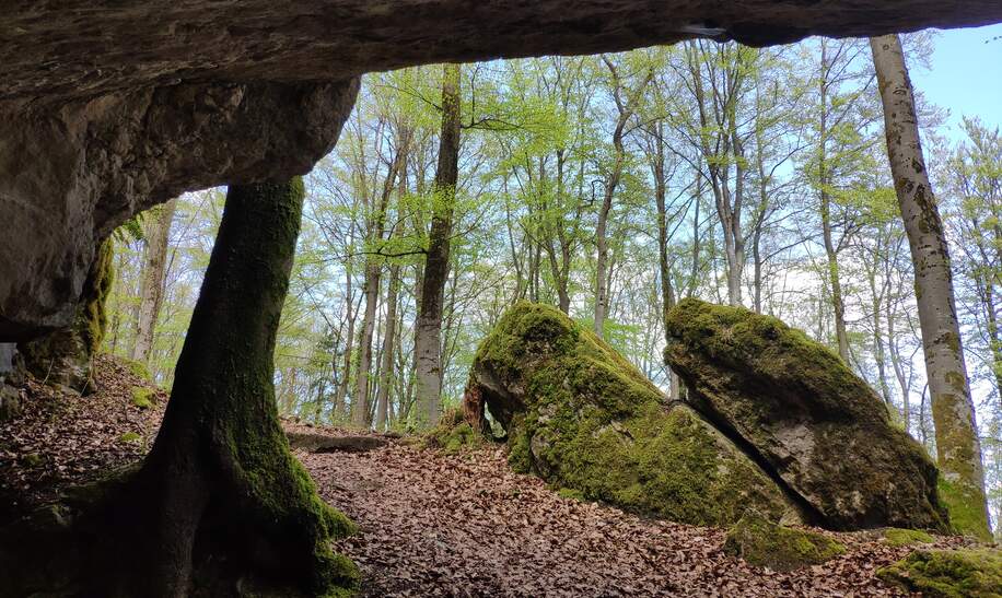 Karstkundlicher Wanderweg | © © Jens Hinsche