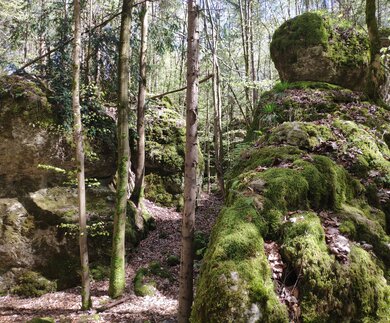 Felsformationen Steinerne Stadt | © © Jens Hinsche