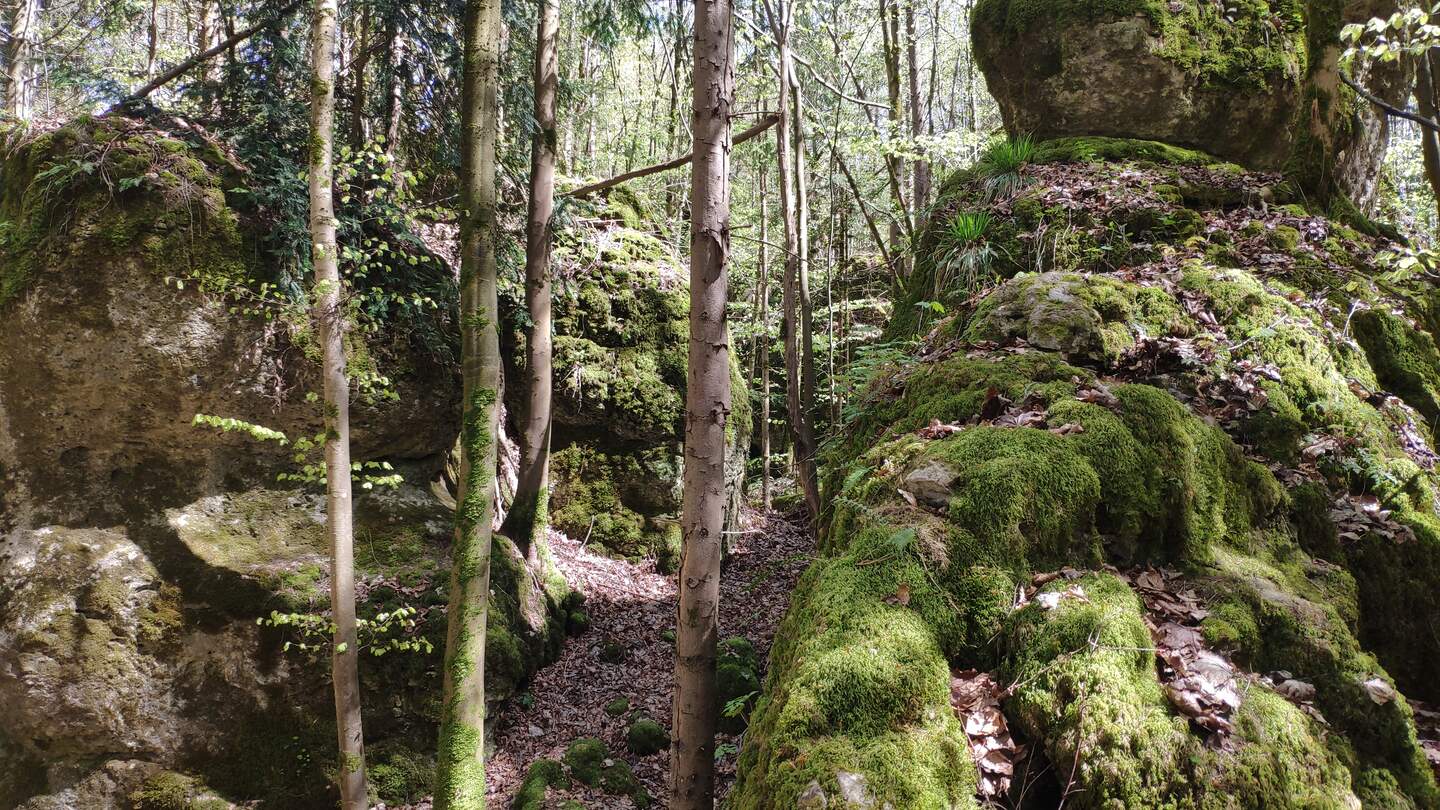 Felsformationen Steinerne Stadt | © © Jens Hinsche