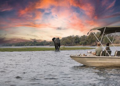 Elefantenbeobachtung auf einer Safari per Boot auf dem Chobe Fluss im Chobe Nationalpark in Botswana | © GettyImages.com