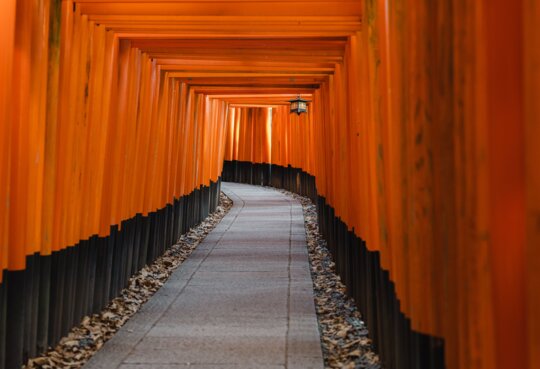 Ein Weg mit traditionellen japanischen Torii-Toren, die fuer ihre leuchtend rote Farbe bekannt sind  | © gettyimages.com/Wirestock