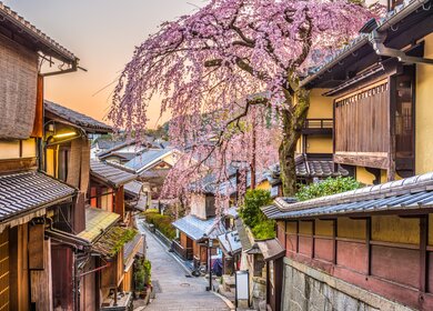 Kyoto, Japan Fruehling im historischen Viertel Higashiyama mit bluehender Kirschbluete | © Gettyimages.com/Sean Pavone