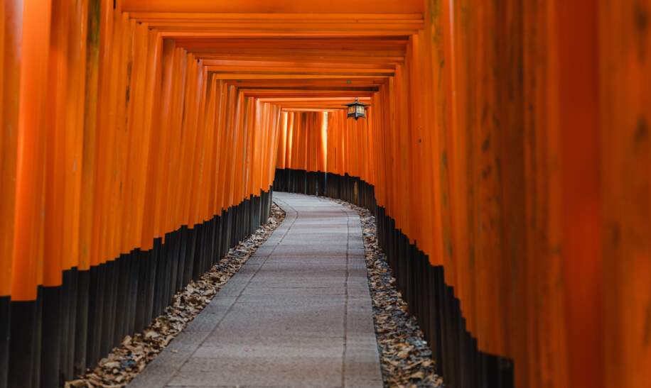 Ein Weg mit traditionellen japanischen Torii-Toren, die fuer ihre leuchtend rote Farbe bekannt sind  | © gettyimages.com/Wirestock