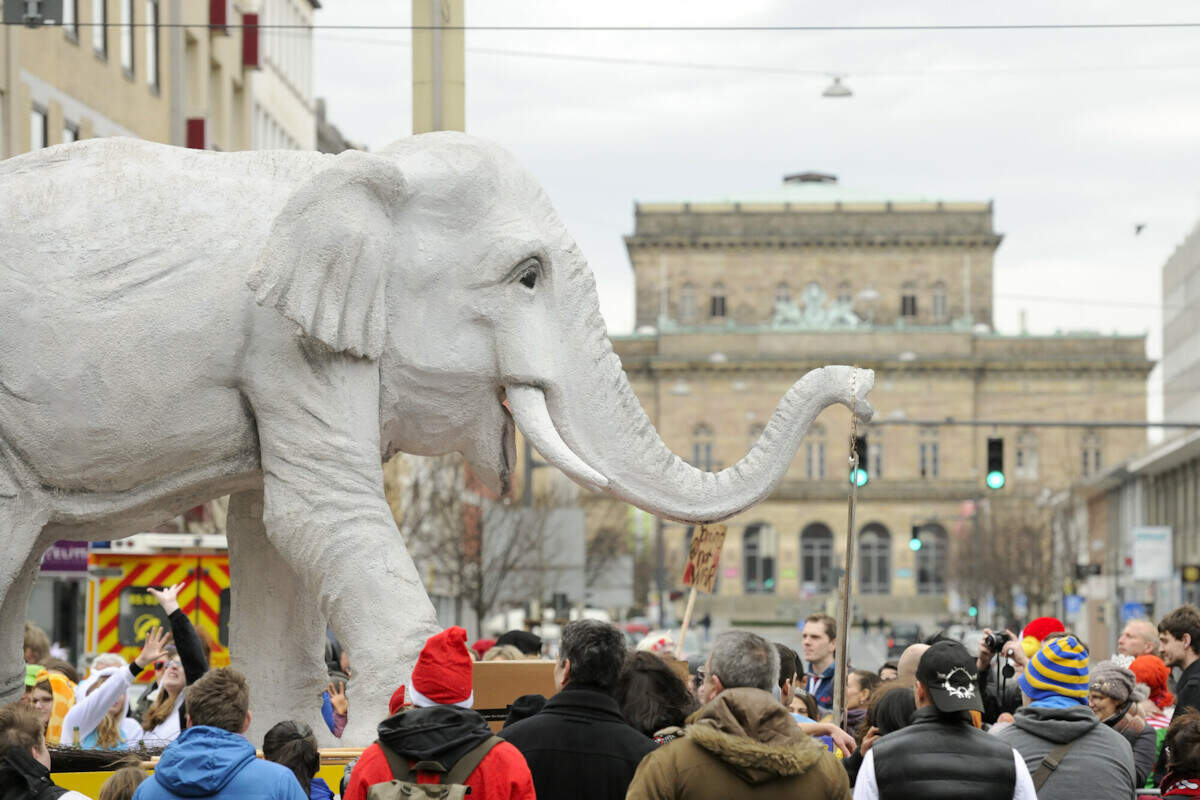 Ein Elefantenwagen im Umzug | © Daniel Möller