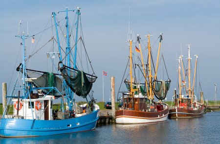 Garnelentrawler in einem kleinen Hafen in der Nähe von Bremerhaven | © Gettyimages.com/hbbolten