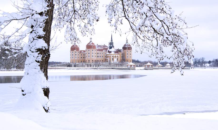 Winterlicher Blick auf das idyllisch verschneite, an der Elbe gelegenen, Schloss Moritzbug in der Nähe von Dresden | © Gettyimages.com/JrgBSchubert