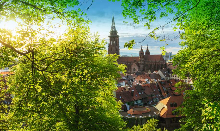 Blick auf das Freiburger Münster im Sommer | © Gettyimages.com/Simon Dux