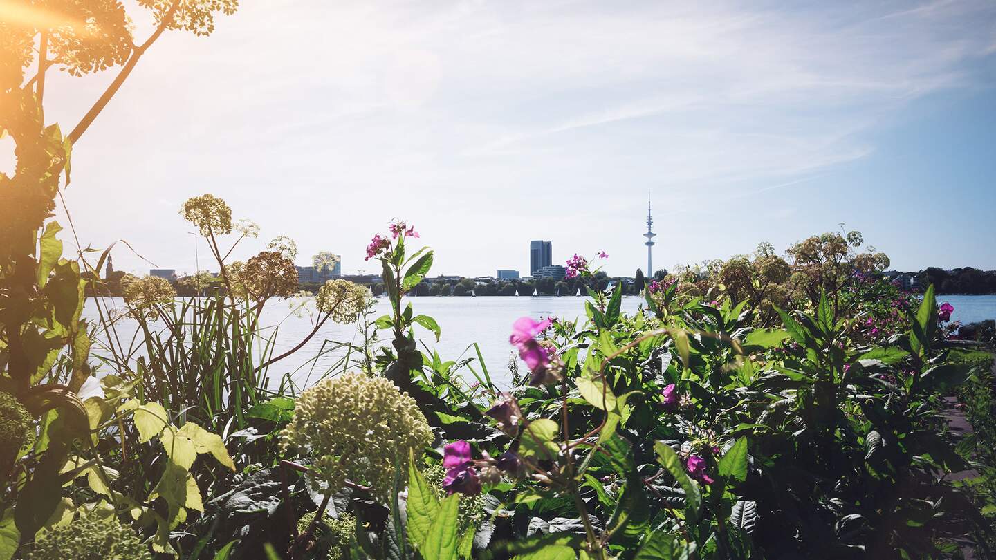 Städtereise nach Hamburg mit Elbe, der Skyline und Blüten | © Gettyimages.com/Christian Horz/g