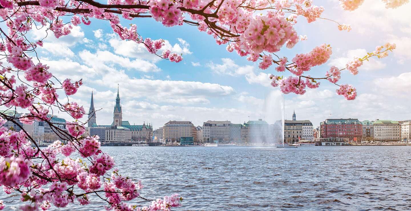Blick auf die Alstersee in Hamburg, umrahmt von blühenden Kirschbaum an schönen sonnigen Tag im Frühling | © Gettyimages.com/Christian Horz
