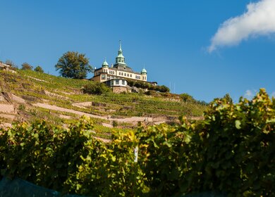 Spitzhaus auf der Spitze des Weinberges eines Weinguts in Radebeul | © Pixabay.com/danielbahrmann 
