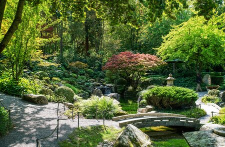 Traumhafter Blick auf den japanischen Garten in Würzburg bei gutem Wetter | © Gettyimages.com/Fotofantastika