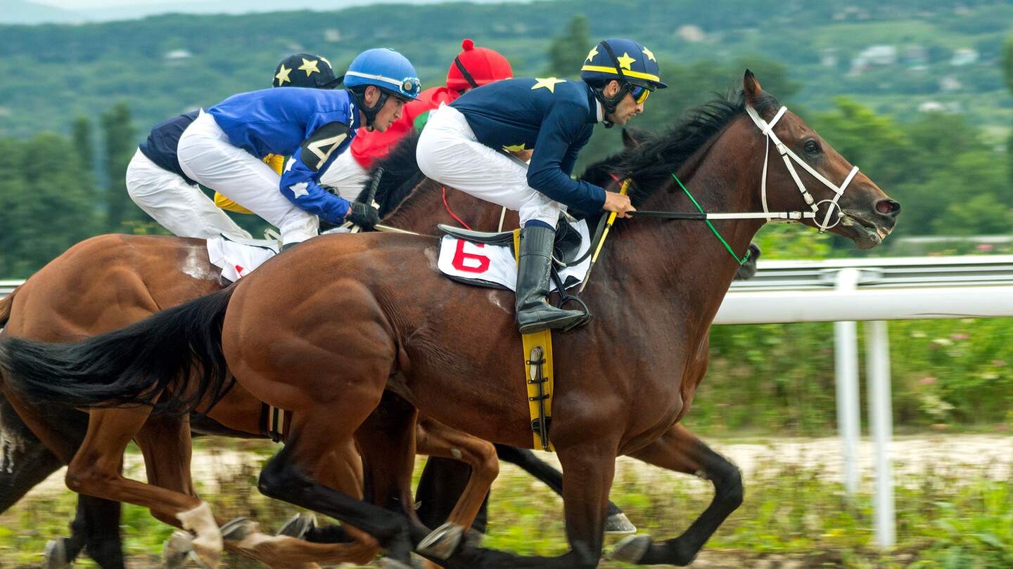 zwei Reiter eines Pferderennens | © Gettyimages.com/marlenka