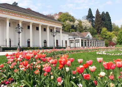 Tulpenfeld vor dem Kurhaus in Baden Baden | © Gettyimages.com/donstock