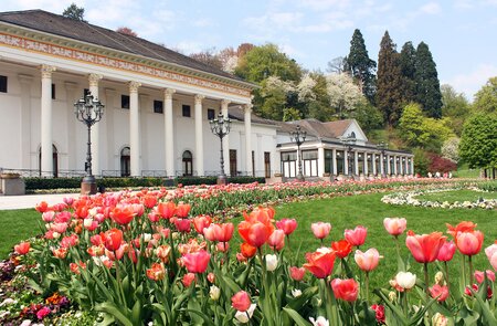Tulpenfeld vor dem Kurhaus in Baden Baden | © Gettyimages.com/donstock