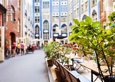 Hackesche Höfe, Berlin-Mitte, Blick direkt von oben.  | © Gettyimages.com/TommL