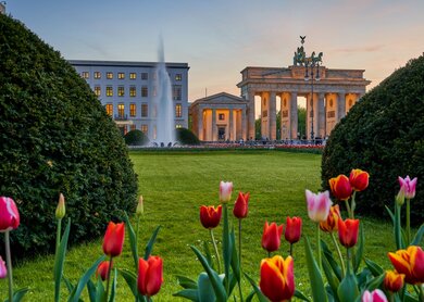 Berlin Staedtereise im Fruehling. Blick auf das Brandenburger Tor bei Sonnenuntergang | © Gettyimages.com/PeterJesche