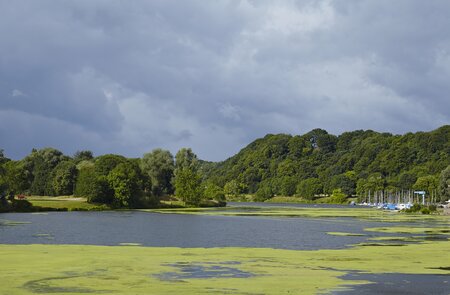 Das Reservoir Kemnade in Bochum | © Gettyimages.com/schulzhattingen