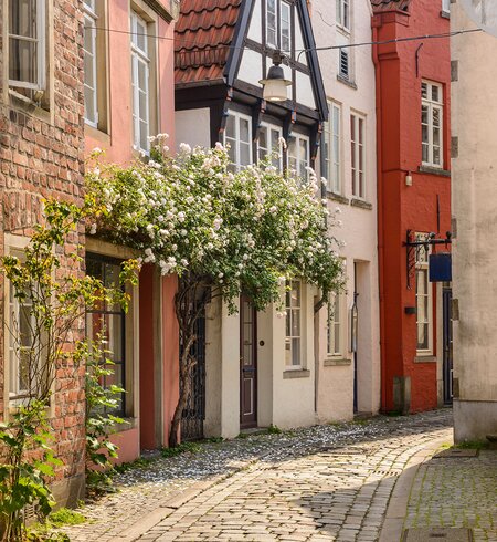 Hell erleuchtete Gasse mit alten Hauusern, Kopfsteinpflaster und Blumen in der Bremer Altstadt | © Gettyimages.com/Diego Juliano 2019
