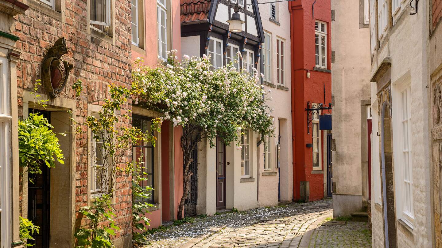 Hell erleuchtete Gasse mit alten Hauusern, Kopfsteinpflaster und Blumen in der Bremer Altstadt | © Gettyimages.com/Diego Juliano 2019