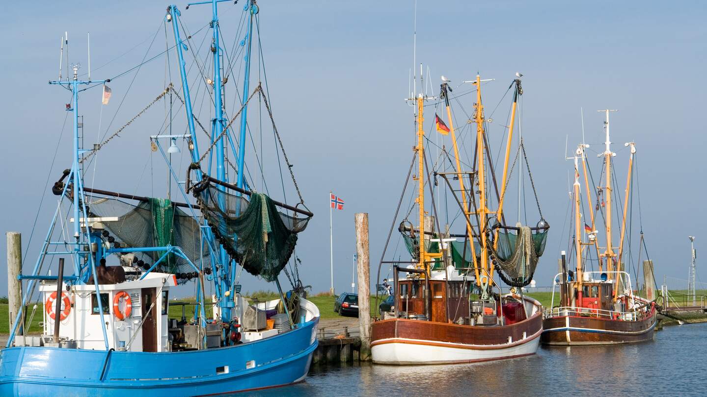 Garnelentrawler in einem kleinen Hafen in der Naehe von Bremerhaven | © Gettyimages.com/hbbolten