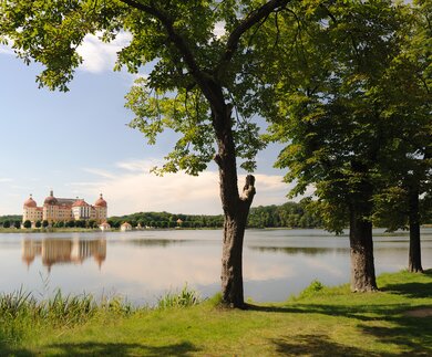 Blick auf das idyllisch an der Elbe gelegenen Schloss Moritzbug in der Nähe von Dresden | © Gettyimages.com/Rolphus