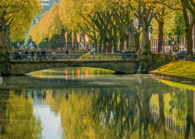 Die Einkaufsstrasse Koenigsallee im Herbst | © Gettyimages.com/Joel-Noah Charanghattu