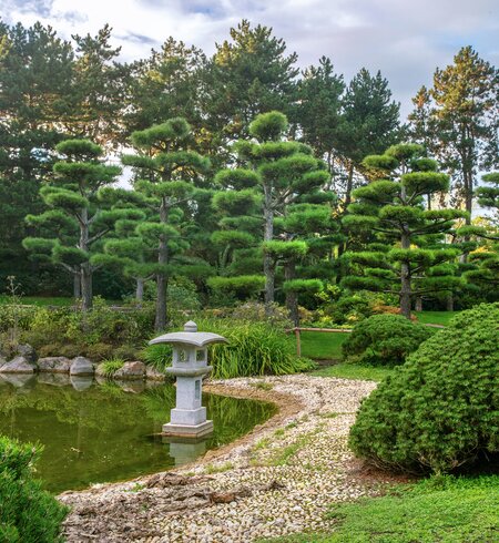 Japanischer Garten im Nordpark in Duesseldorf mit Teich und Formschnittbaeumen | © Gettyimages.com/Fotofantastika