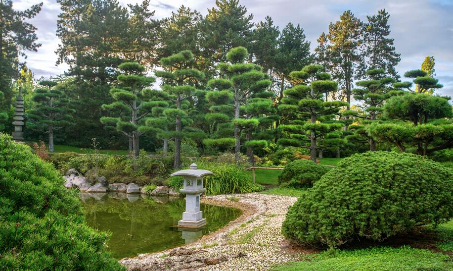 Japanischer Garten im Nordpark in Duesseldorf mit Teich und Formschnittbaeumen | © Gettyimages.com/Fotofantastika