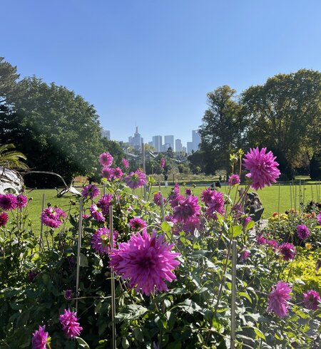 Der Palmengarten ist ein botanischer Garten in Frankfurt | © Gettyimages.com/emer1940