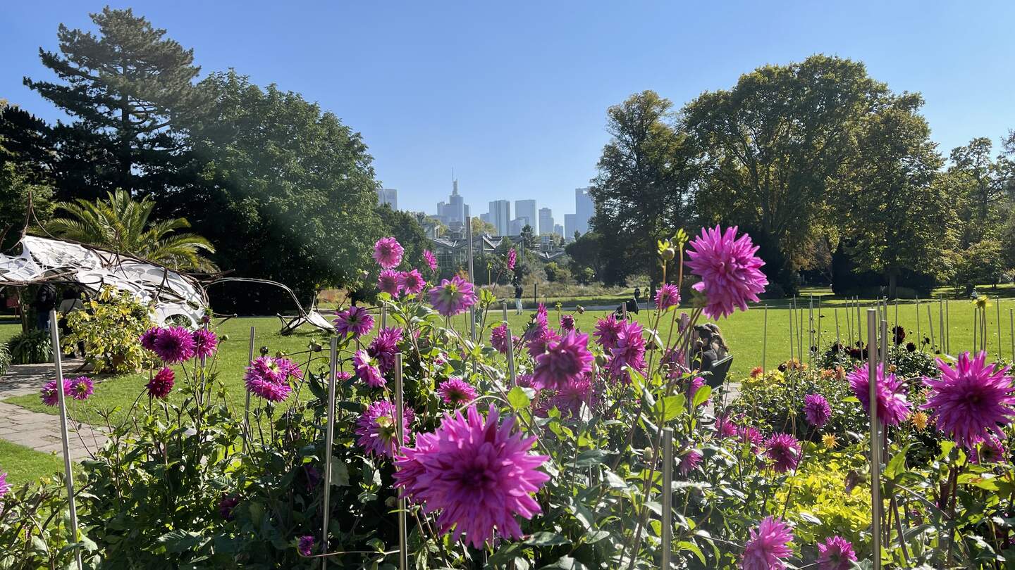 Der Palmengarten ist ein botanischer Garten in Frankfurt | © Gettyimages.com/emer1940