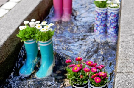 Gummistiefel im Wasser mit Blumen in der Stadt Freiburg | © Gettyimages.com/m_pavlov