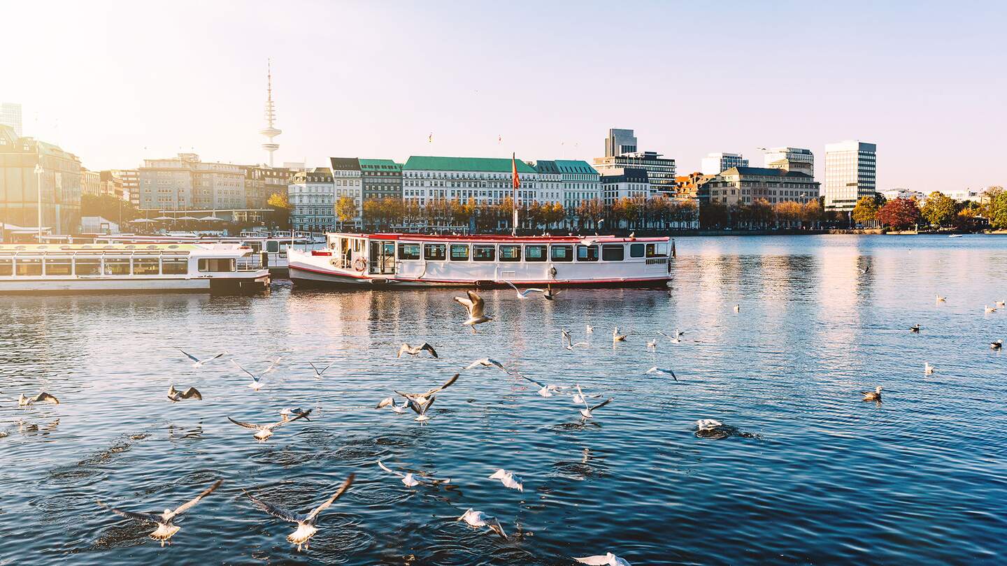 Moewen ueber dem Alstersee in Hamburg am sonnigen Tag  | © Gettyimages.com/Christian Horz