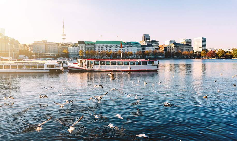 Moewen ueber dem Alstersee in Hamburg am sonnigen Tag  | © Gettyimages.com/Christian Horz