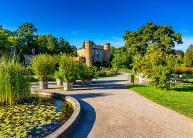 Botanischer Garten in Karslruhe bei Sonnenschein und blauem Himmel | © Gettyimages.com/DaLiu